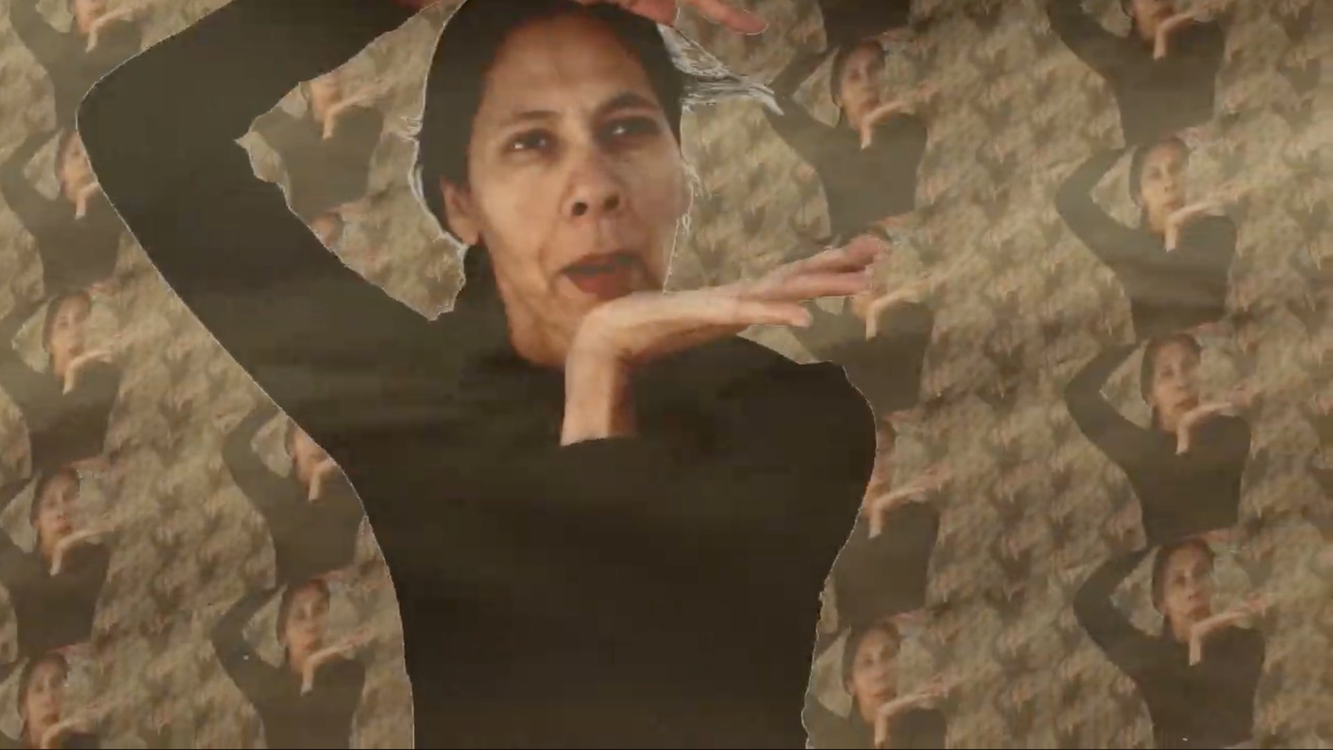 Mil años de silencio, videoarte